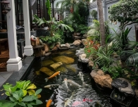 SƠN HÀ KING KOI - THIẾT KẾ BỞI MR TÀI: 0789711496
