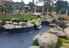 SƠN HÀ KING KOI - THIẾT KẾ BỞI MR TÀI: 0789711496