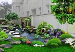 SƠN HÀ KING KOI - THIẾT KẾ BỞI MR TÀI: 0789711496