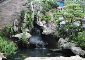 SƠN HÀ KING KOI - THIẾT KẾ BỞI MR TÀI: 0789711496