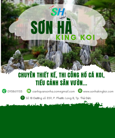 SƠN HÀ KING KOI - THIẾT KẾ BỞI MR TÀI: 0789711496