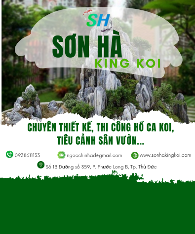 SƠN HÀ KING KOI - THIẾT KẾ BỞI MR TÀI: 0789711496