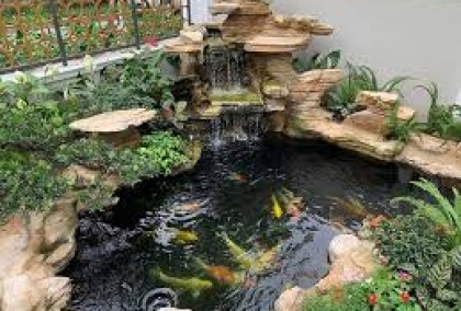 SƠN HÀ KING KOI - THIẾT KẾ BỞI MR TÀI: 0789711496