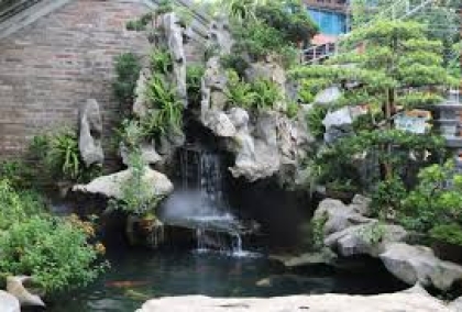 SƠN HÀ KING KOI - THIẾT KẾ BỞI MR TÀI: 0789711496