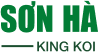 SƠN HÀ KING KOI - THIẾT KẾ BỞI MR TÀI: 0789711496